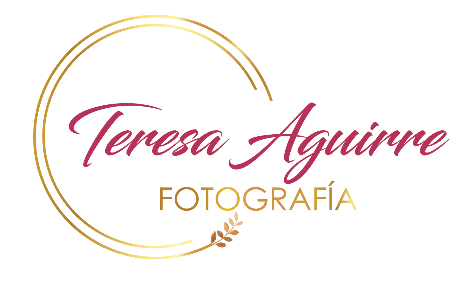 Logo de Teresa Aguirre Fotografía